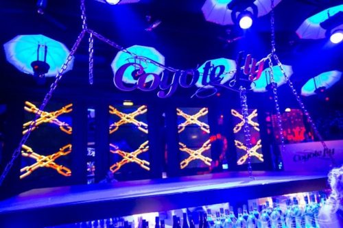 535376_529874700390139_906023961_n