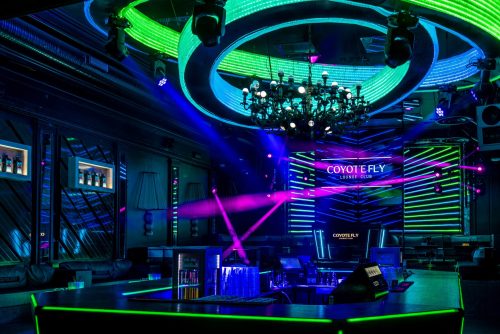 Coyote-Fly-interjers-new-May-17-2019-16-scaled