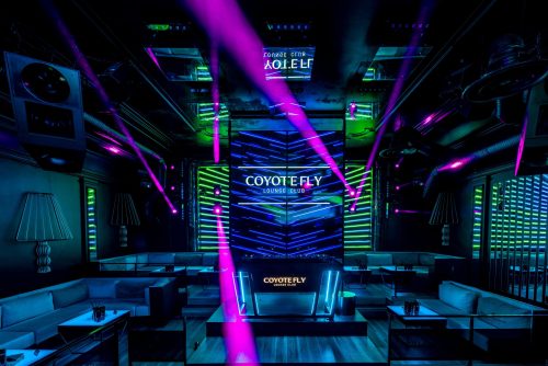 Coyote-Fly-interjers-new-May-17-2019-4-min-scaled