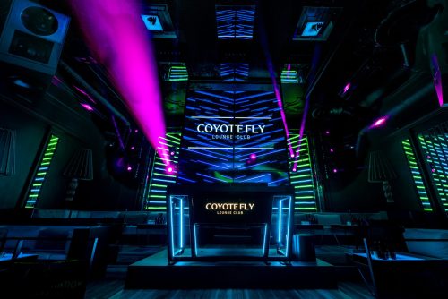 Coyote-Fly-interjers-new-May-17-2019-6-scaled