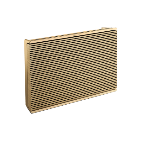Bang & Olufsen Beosound Level