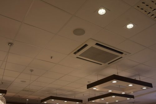 cili_pica_hvz_kur_22