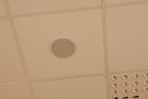 cili_pica_hvz_kur_30