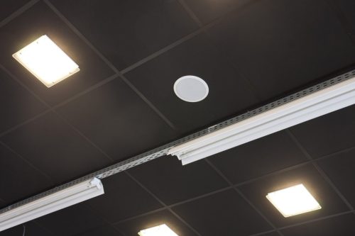 city_fitness_olimpia_67